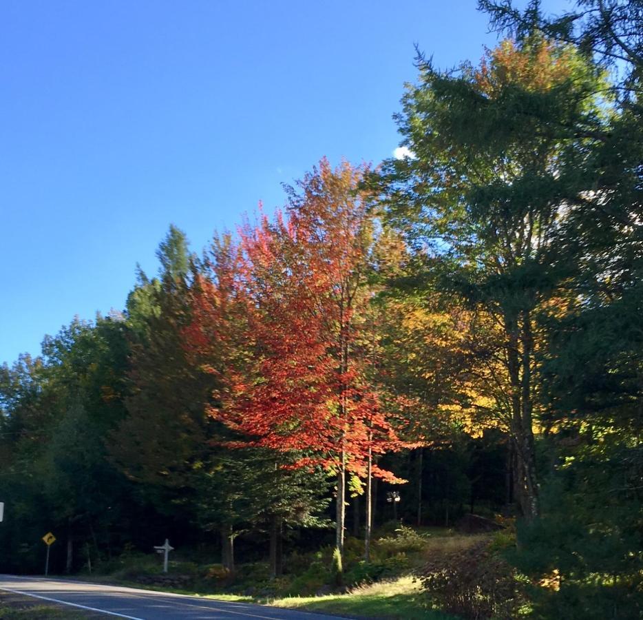 Au Gre Du Temps - Gite B&B Shefford 外观 照片